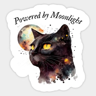 Witch's Black Cat Sticker